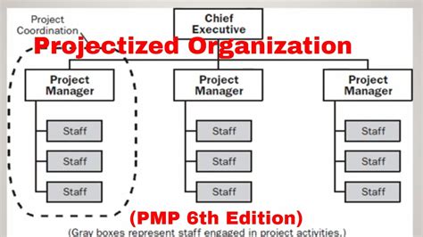 Pmp What Is Projectized Organization And Its Benefits Youtube