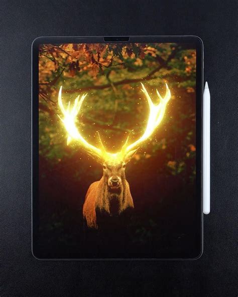 Procreate Photo Manipulation Glowing Deer Artofit