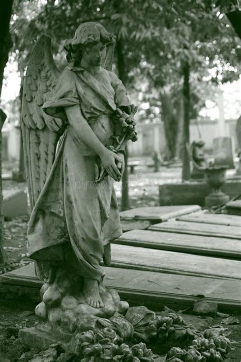 Statue Of An Sad Angel That Act As Tombstone For Dutch Settlers In