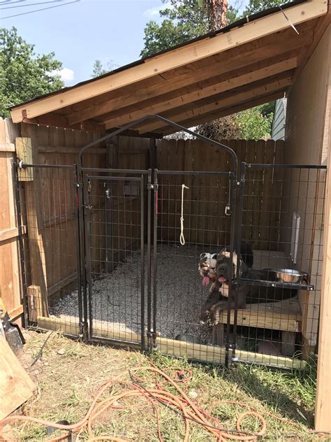 Built A Dog Kennel On The Side Of My Shed Dogstuffoutdoor