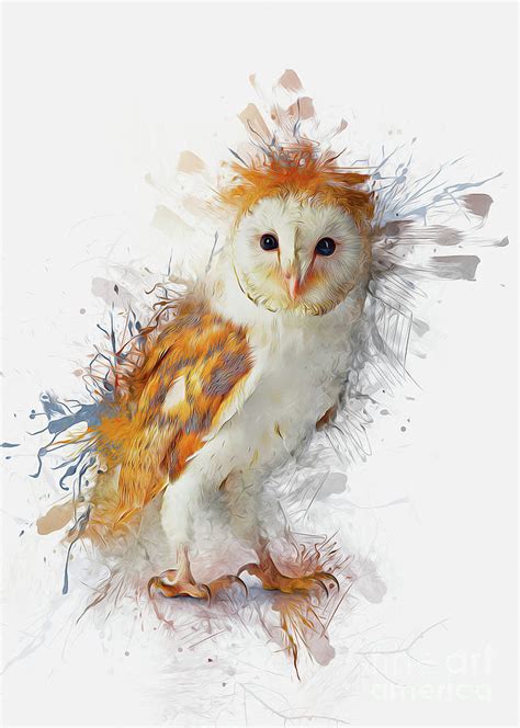 Barn Owl Art