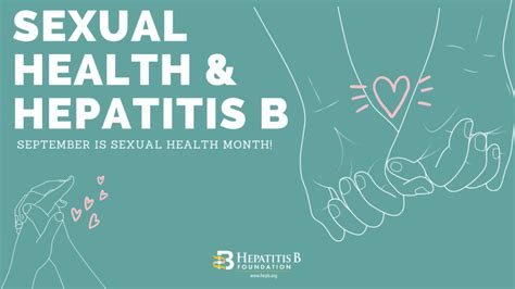 Your Sexual Health And Hepatitis B Hepatitis B Foundation