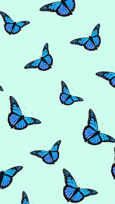 Butterfly Phone Background Lock Screen Wallpaper Iphone Butterfly