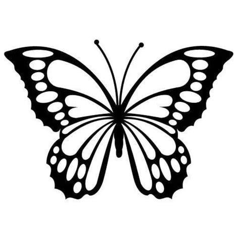 A Black And White Butterfly With Dots On It S Wings
