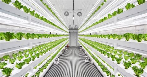 Planty Cube Smart Vertical Farm For Better Year Round Yield