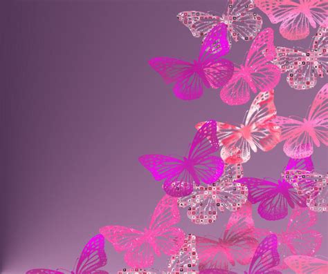 50 Free Butterfly Wallpaper And Screensavers On