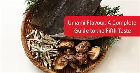 umami flavour a complete guide to the fifth taste hela spice