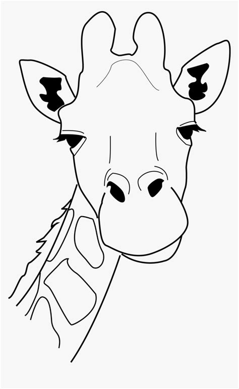 Best Photos Of Giraffe Face Outline Giraffe Head Pattern Giraffe Head