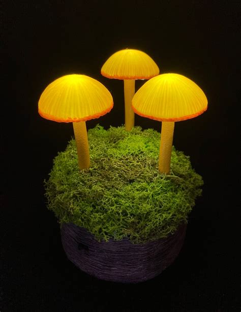 Mushroom Lamp Mushrooms Night Light Fungi Led Glowing In The Etsy