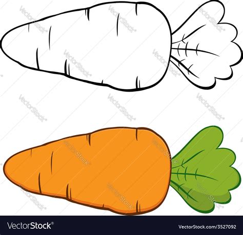 Cartoon Carrots Royalty Free Vector Image Vectorstock