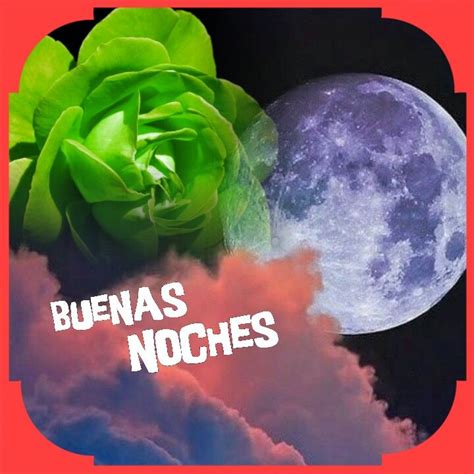 An Image Of The Moon And Flowers With Text Over It That Reads Buenas Noches