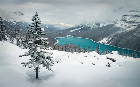 Landscape Nature Winter Lake Snow Mountain Forest Turquoise