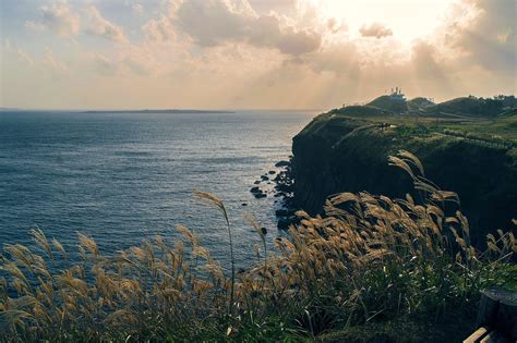 Korea Jeju Island Free Photo On Pixabay