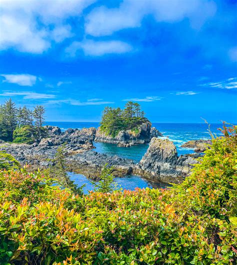14 Best Things To Do In Ucluelet On Vancouver Island
