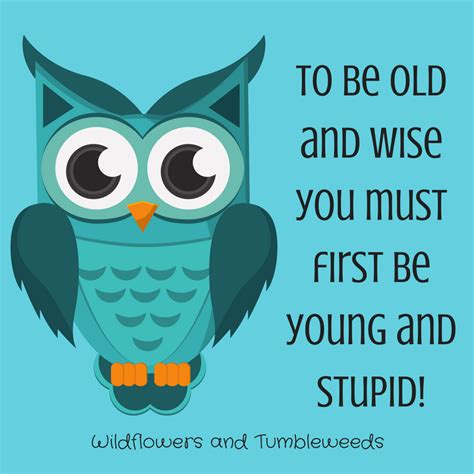 Being Old And Wise Comes After Young And Stupid