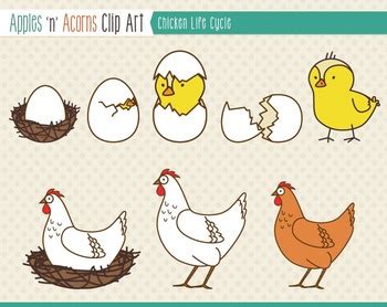 Life on a chicken farm by ruth owen; Chicken Life Cycle Clip Art - color and outlines by Apples ...