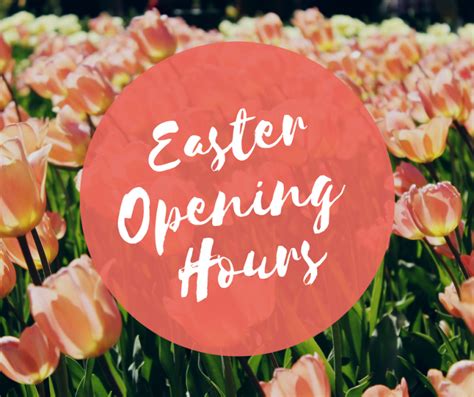 Easter Opening Hours Five Cedars