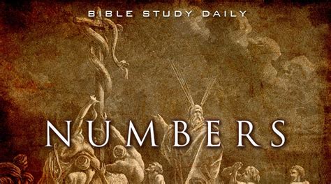 Numbers 8 9 Bible Study Daily