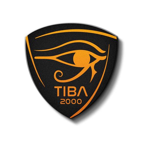 Tiba 2000 Group Cairo