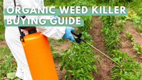 7 Best Organic Weed Killer Sprays And Solutions 2022