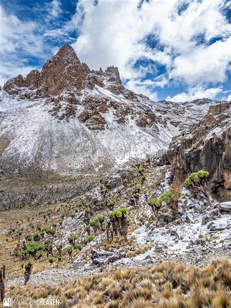Looking At The Majestic Snow Covered Peaks Of Mount Kenya Mountain