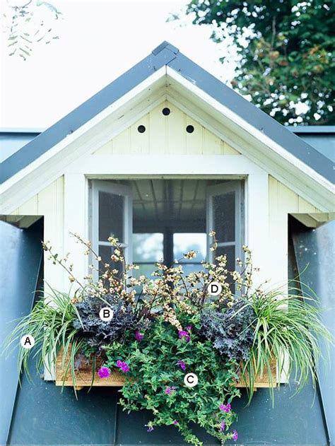 Easy Beautiful Window Boxes For Sun Gardening Viral