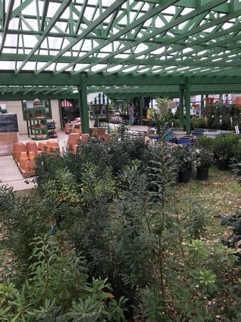 Sh… 15 noteworthy music festivals coming back in 2021 Westview Nursery & Landscape in Waco | Westview Nursery ...