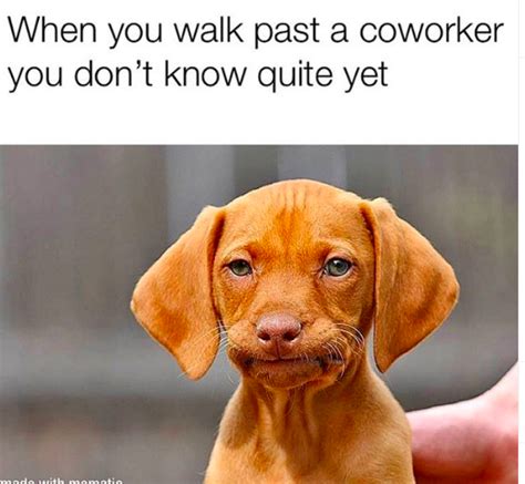 Some are about how work seems to drag on forever, others are about trying to avoid work, and a lot of them. 37 Funny Work Memes To Help You Make It To 5pm
