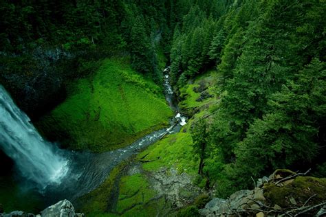 Download Green Mountain Tree Forest River Nature Waterfall 4k Ultra Hd