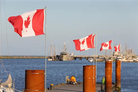 Canadian Flags Steveston Harbor Bc Stock Image Image Of British