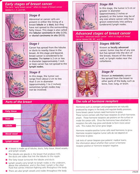 Your breast cancer stage indicates the severity of the disease upon diagnosis. Visual Guide to The Stages of Breast Cancer - Rocking The ...