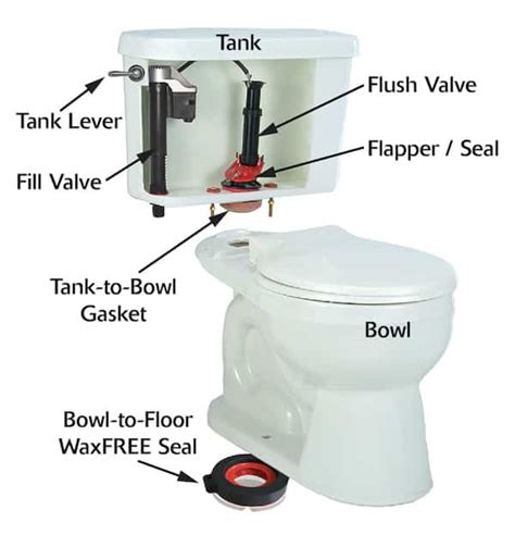 Toilet Flush Leak Sales Prices Save Jlcatj Gob Mx