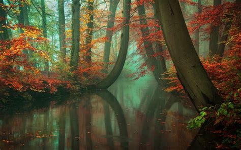 Nature Landscape Fall River Leaves Hill Trees Reflection Yellow Grass