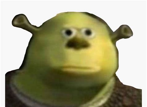 Shrek Meme Face Mike Wazowski Garrett La