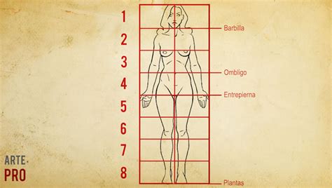 Proporciones Y Anatomía Femenina Arte Pro