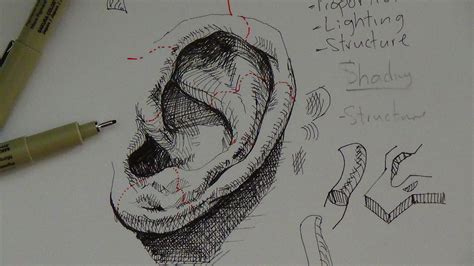 When this option is selected, an increase in pen pressure causes the width to decrease. Pen & Ink Drawing Tutorials | How to draw a realistic ear ...