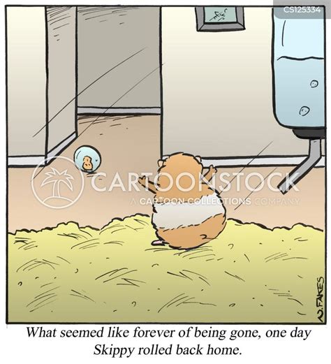 Hamster Ball Cartoons And Comics Funny Pictures From Cartoonstock