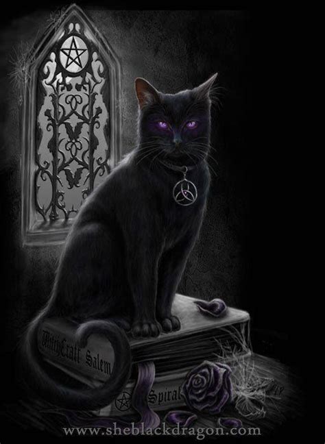 Beautiful Black Cat In Goth Church Black Cat Art Magic Cat Cats
