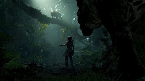 Shadow Of The Tomb Raider Wallpapers Wallpaper Cave