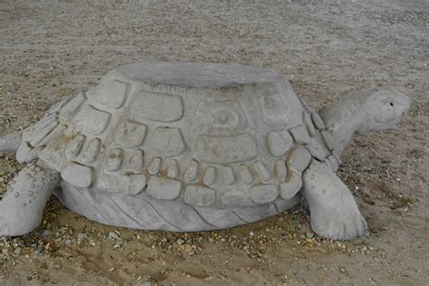 Free Picture Concrete Sculpture Turtle Sand Covering Beach