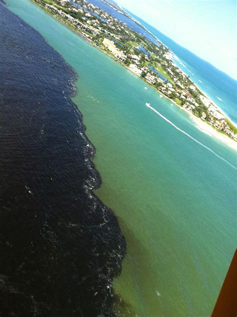 Aerials Never Forget The Lost Summer St Lucie Riverindian River