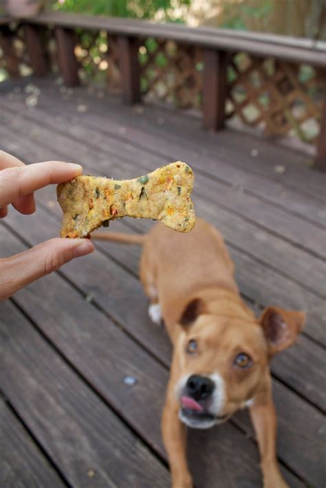 Is a vegan diet better for the planet? OuR CrAzY VeGaN DOgS....+ Dog Treat Recipe | Vegan dog ...