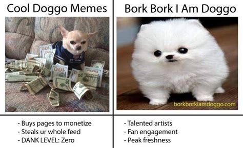 Image Result For Dank Doggo Memes Lovely Creatures Animals Creatures