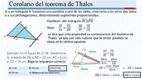 Proporcionalidad De Segmetos Teorema De Thales Revisin De