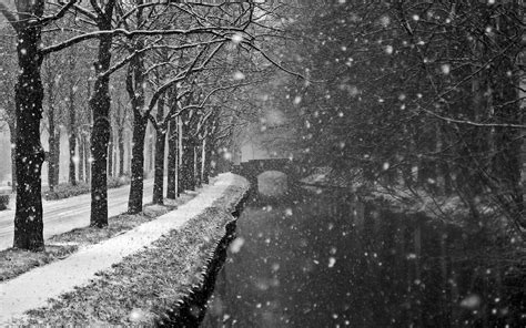 Black And White Winter Wallpapers Top Free Black And White Winter