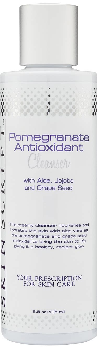 Skin Script Pomegranate Antioxidant Cleanser Ingredients Explained