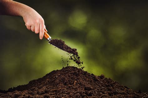 With our healthy home maintenance program (hhmp), your home is protected 365 days a year against all common household pests (excluding termites bundle the sentricon colony elimination system, dow agro science's completely green termite control solution, as part of our healthy home. The Connection Between Healthy Soil and Pest Control ...