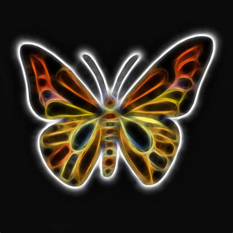 Colorful Neon Butterfly Graphic Design Art In 2019