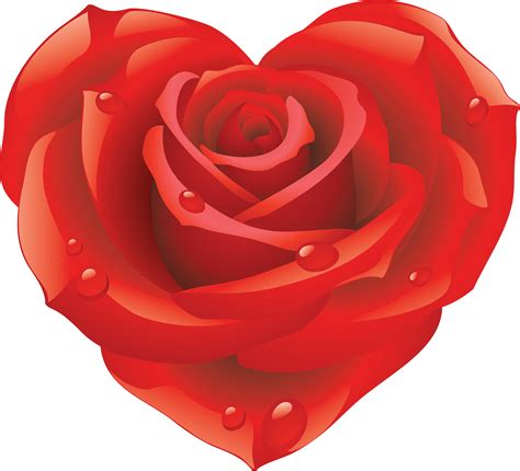 Valentine Roses Wallpapers Blooming Rose Rosé Heart Red Roses