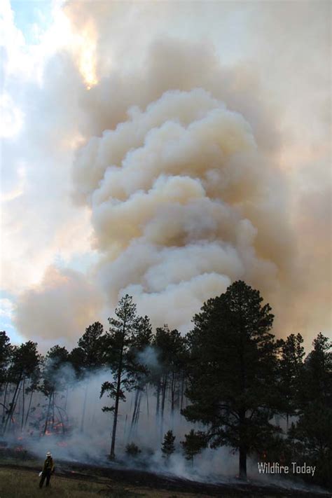 Photos From The Myrtle Fire In South Dakota